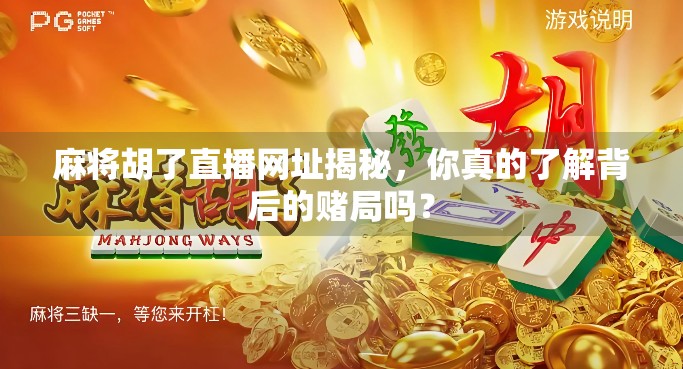 麻将胡了直播网址揭秘，你真的了解背后的赌局吗？