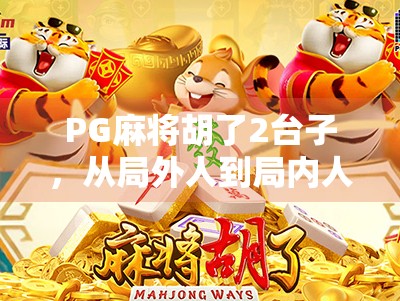 PG麻将胡了2台子，从局外人到局内人，我的麻将逆袭之路