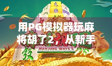 用PG模拟器玩麻将胡了2，从新手到高手的沉浸式娱乐之旅