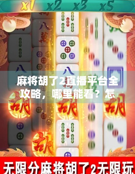 麻将胡了2直播平台全攻略,哪里能看?怎么玩?新手必看! 麻将胡了2直播平台全攻略,哪里能看?怎么玩?新手必看!