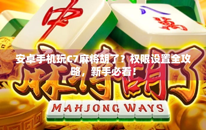 安卓手机玩C7麻将胡了?权限设置全攻略,新手必看!